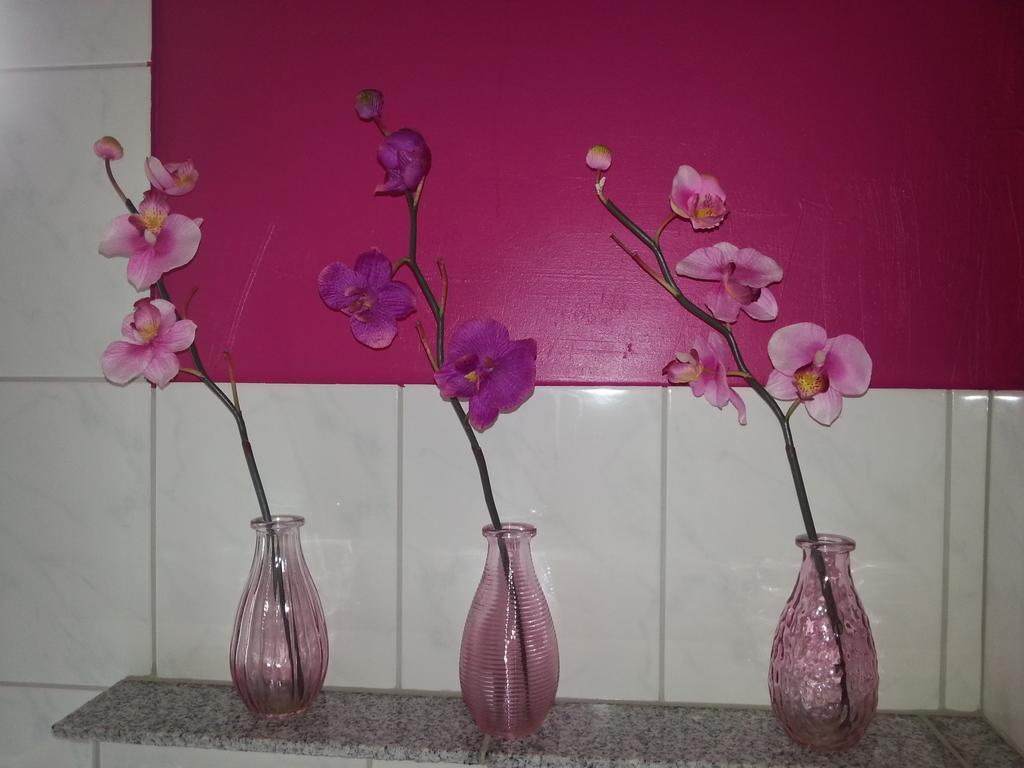 Ferienwohnung Grimmer 바일암라인 외부 사진